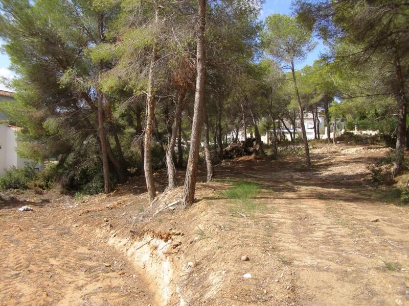 Land for sale