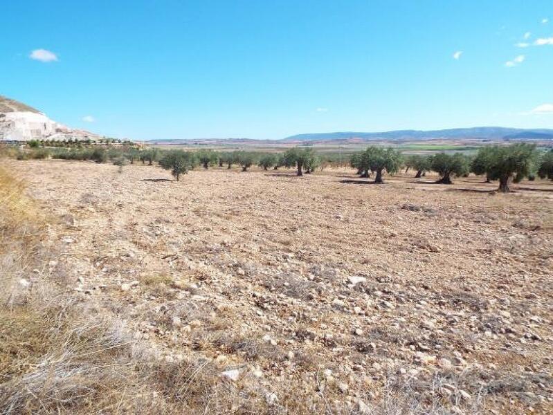 Terrenos en venta