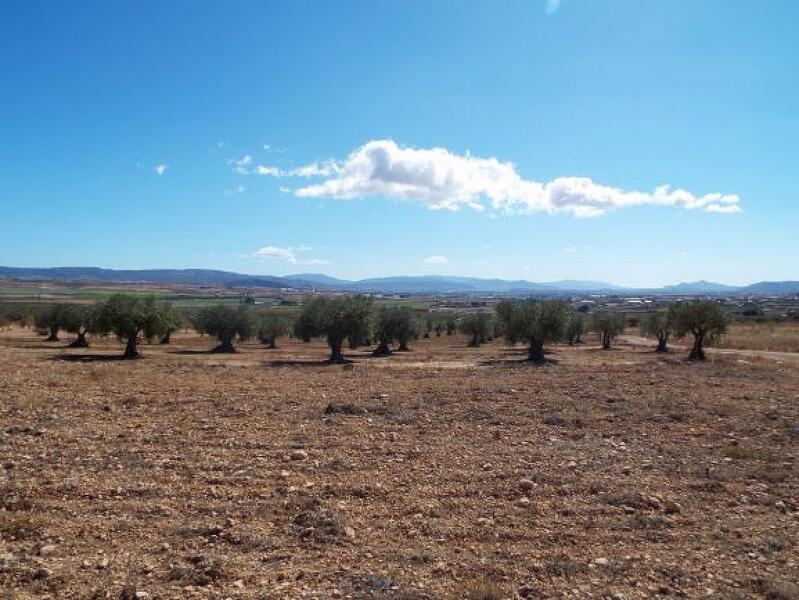 Terrenos en venta