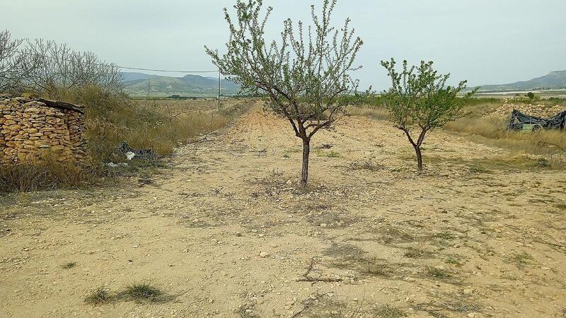 Land for sale