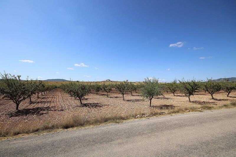 Terrenos en venta