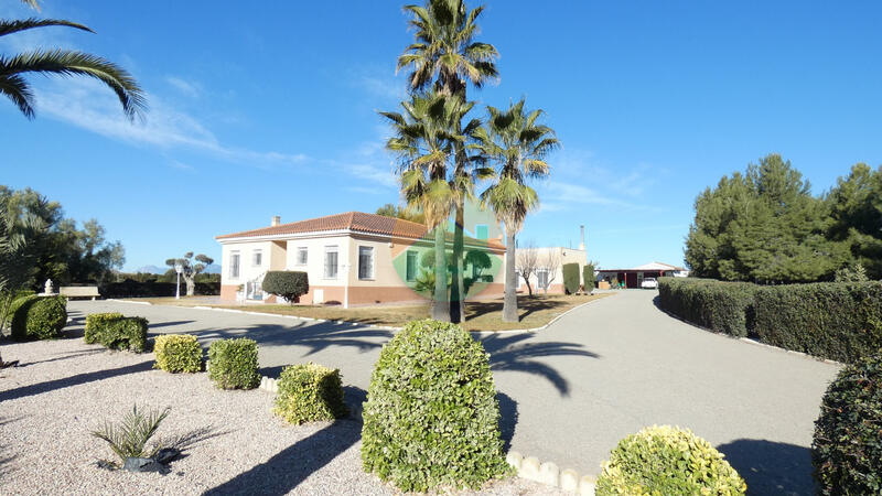 Lantställe till salu i Lorca, Murcia