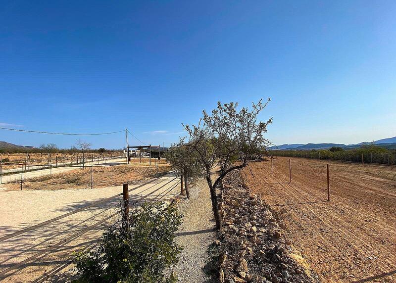 4 Cuarto Casa de Campo en venta