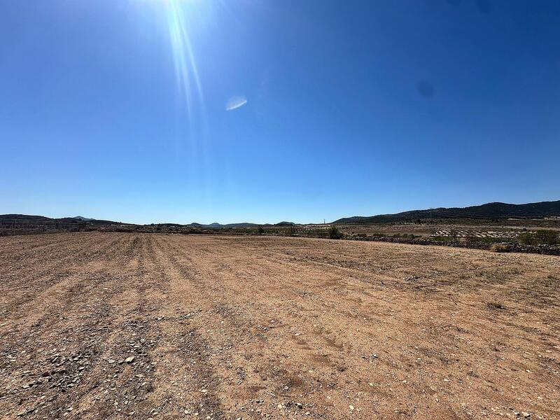 Land Te koop in Cañada del Trigo, Alicante