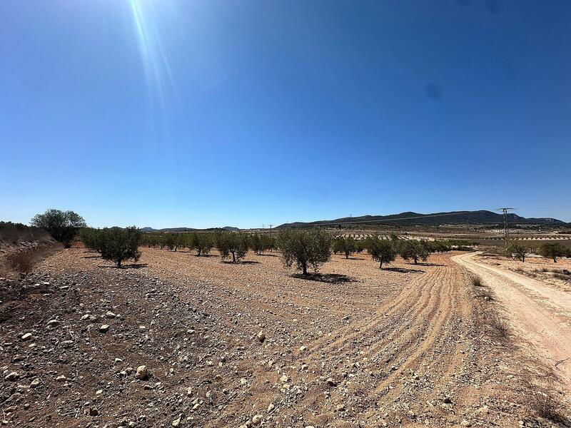 Land til salgs i Cañada del Trigo, Alicante