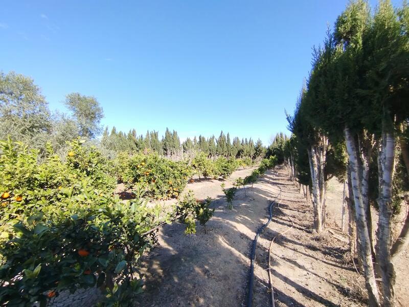 2 Cuarto Villa en venta