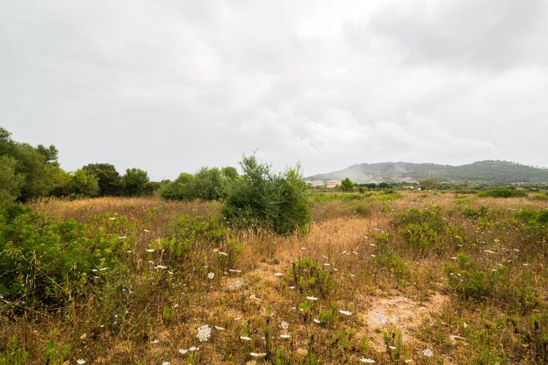Terrain à vendre