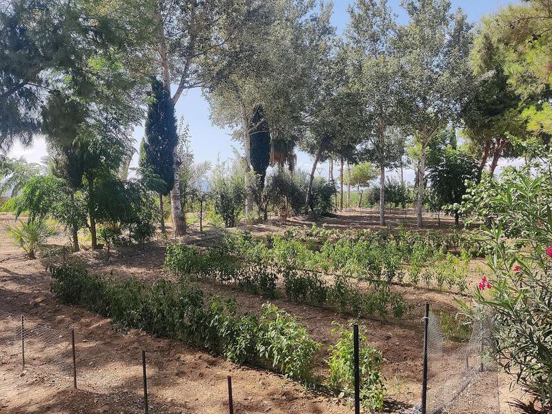 3 bedroom Country House for sale