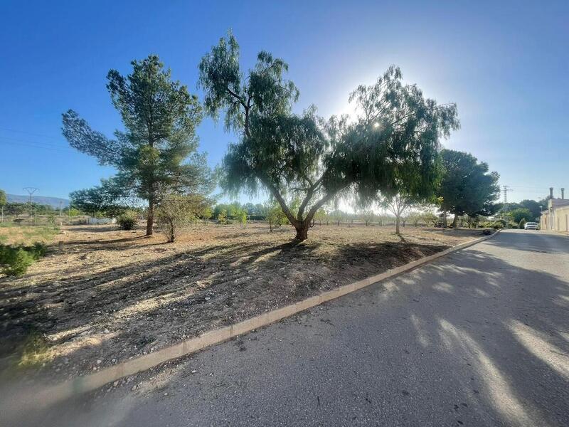 Land for sale