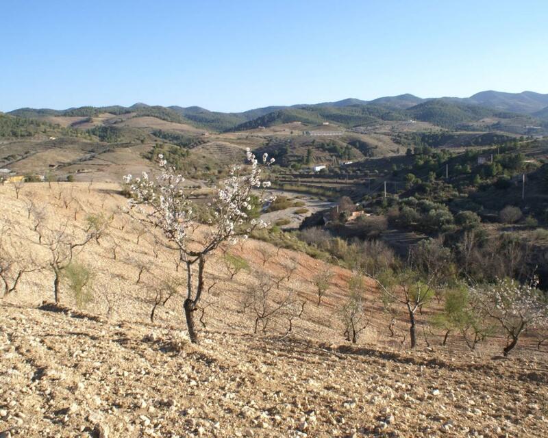 Terrain à vendre