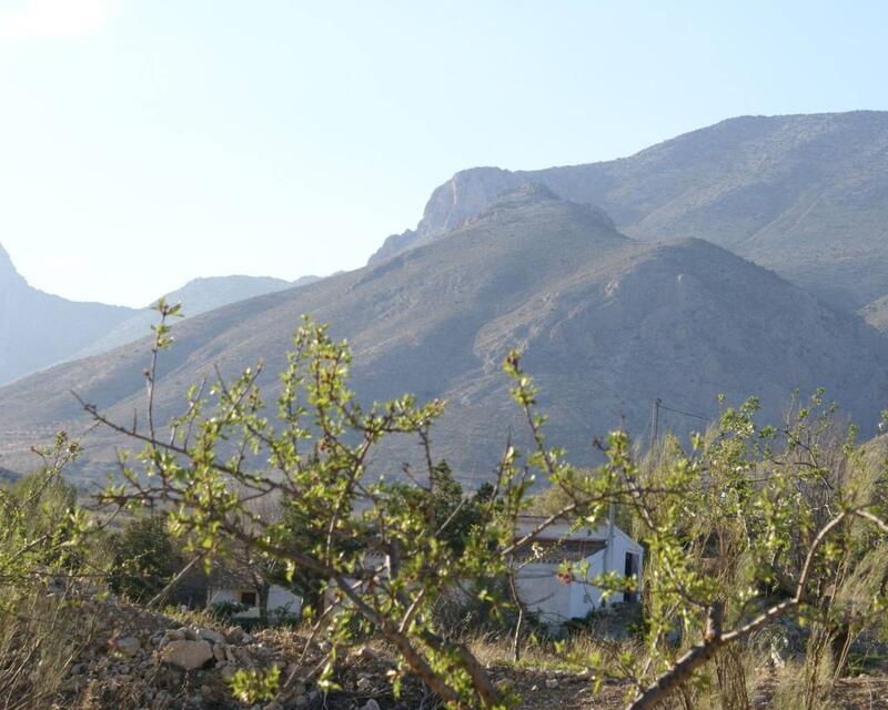 Terrain à vendre