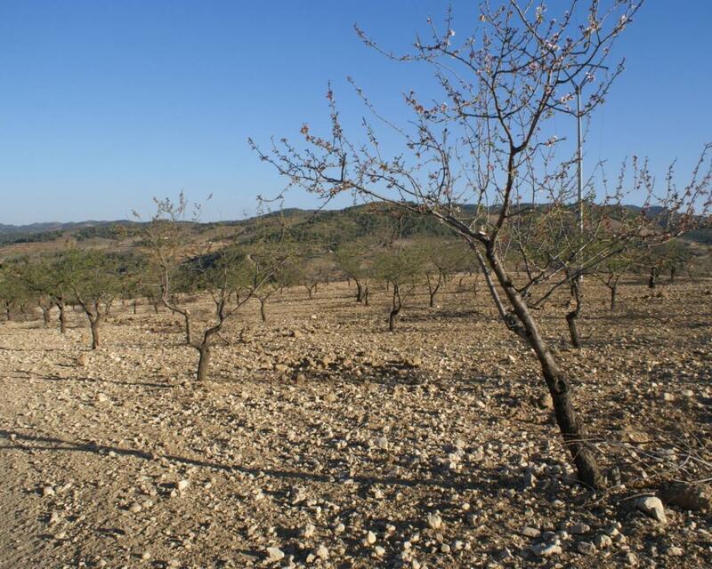 Terrain à vendre