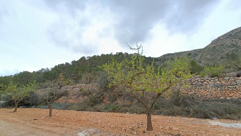 4 Cuarto Villa en venta