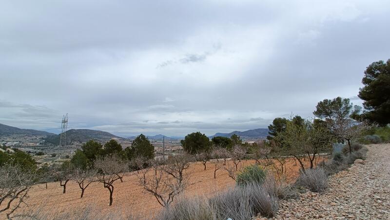 4 Cuarto Villa en venta