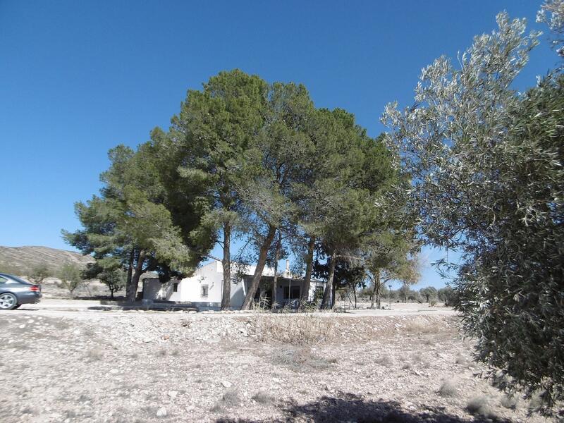 4 Cuarto Casa de Campo en venta