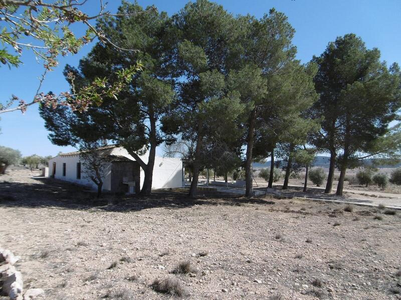 4 Cuarto Casa de Campo en venta