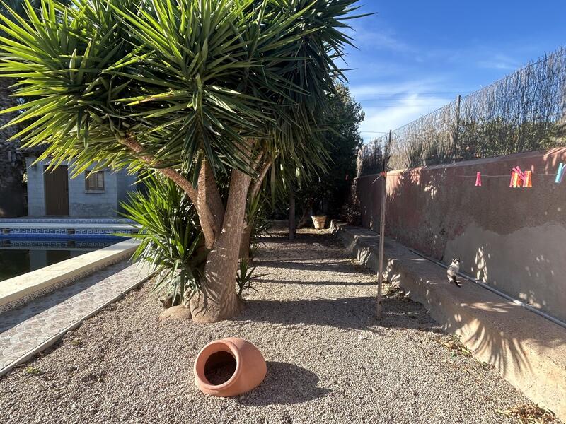 3 Cuarto Casa de Campo en venta