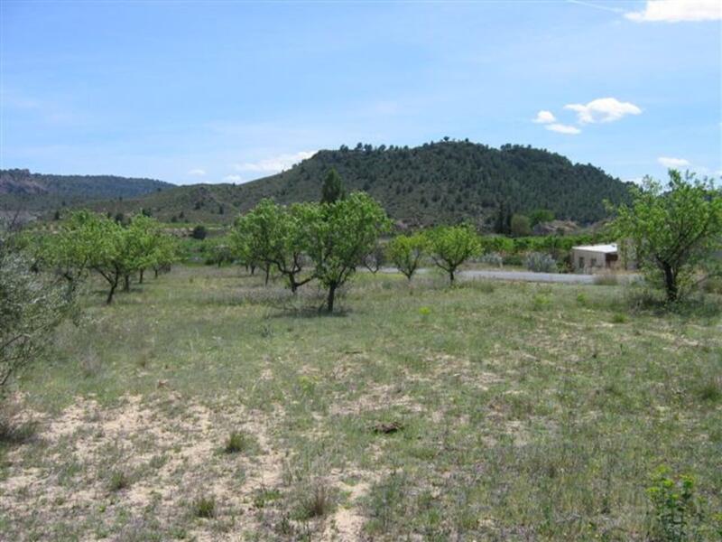 Land for sale in Calasparra, Murcia
