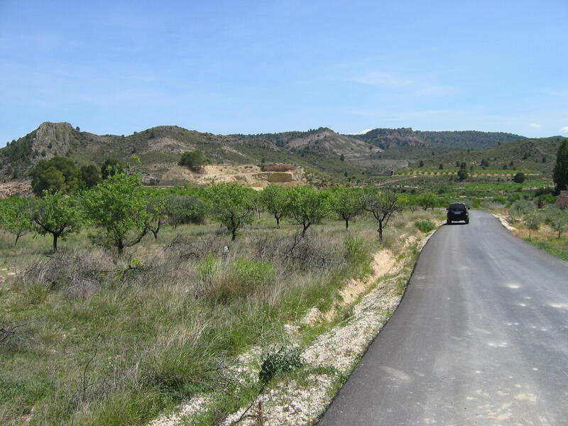 Land for sale