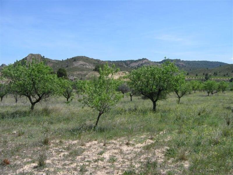 Land for sale