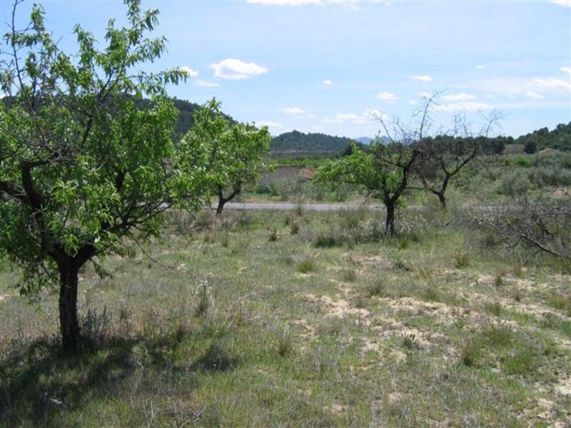Land for sale