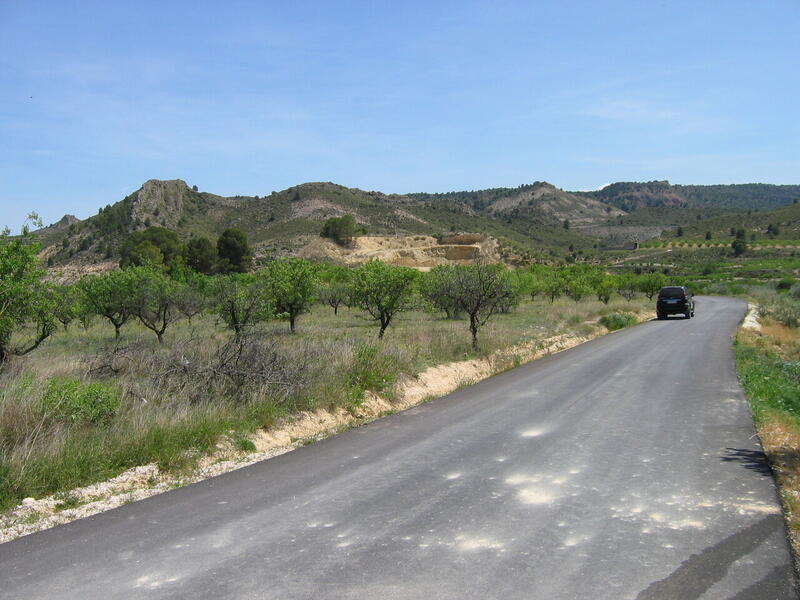 Land for sale