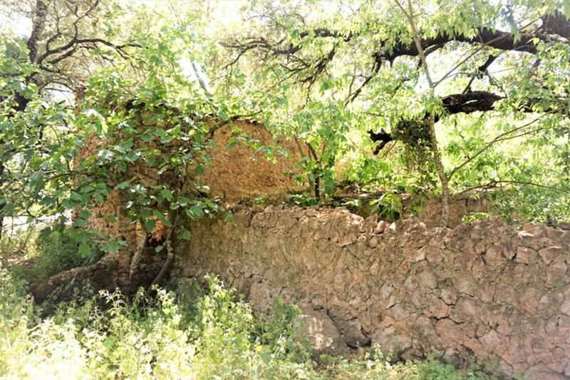 Terrenos en venta