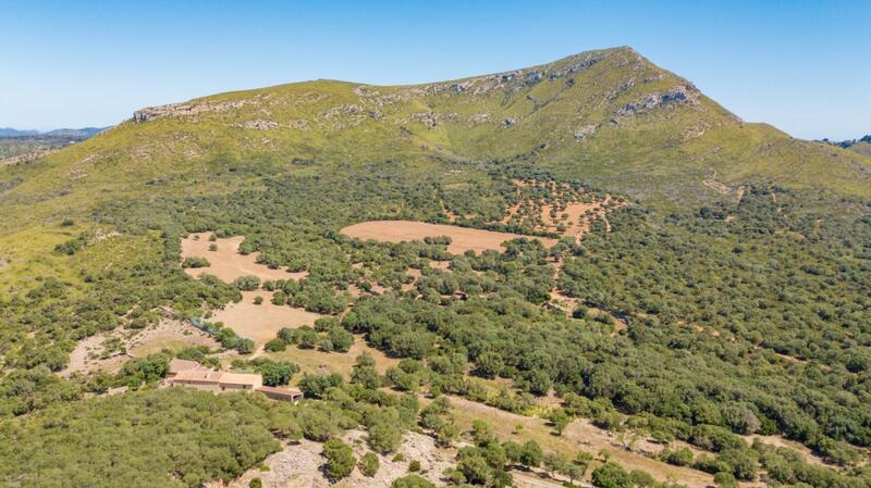 7 bedroom Country House for sale