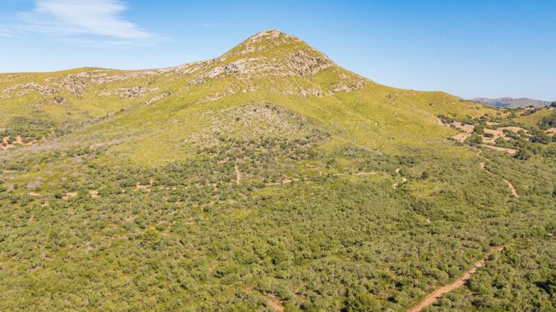 7 bedroom Country House for sale