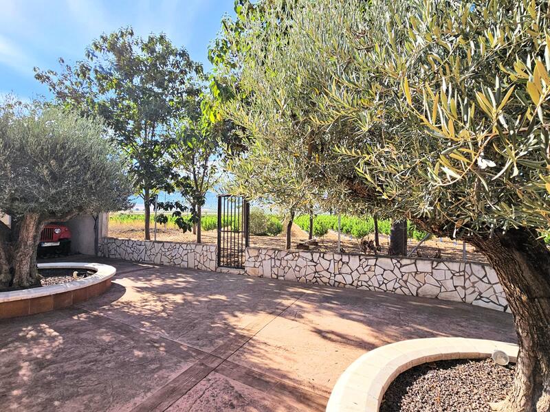 4 Cuarto Casa de Campo en venta