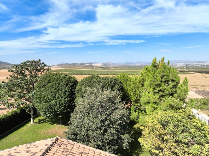 4 Cuarto Casa de Campo en venta