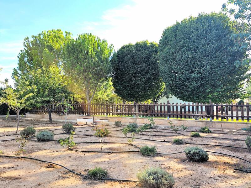 4 Cuarto Casa de Campo en venta