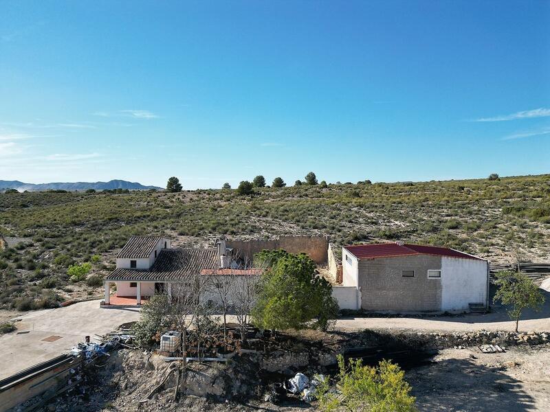 5 Cuarto Casa de Campo en venta