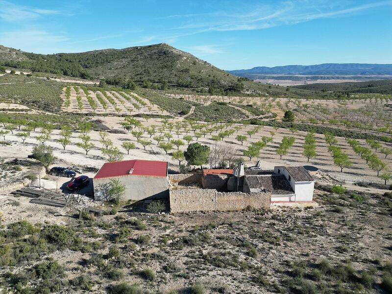 5 Cuarto Casa de Campo en venta