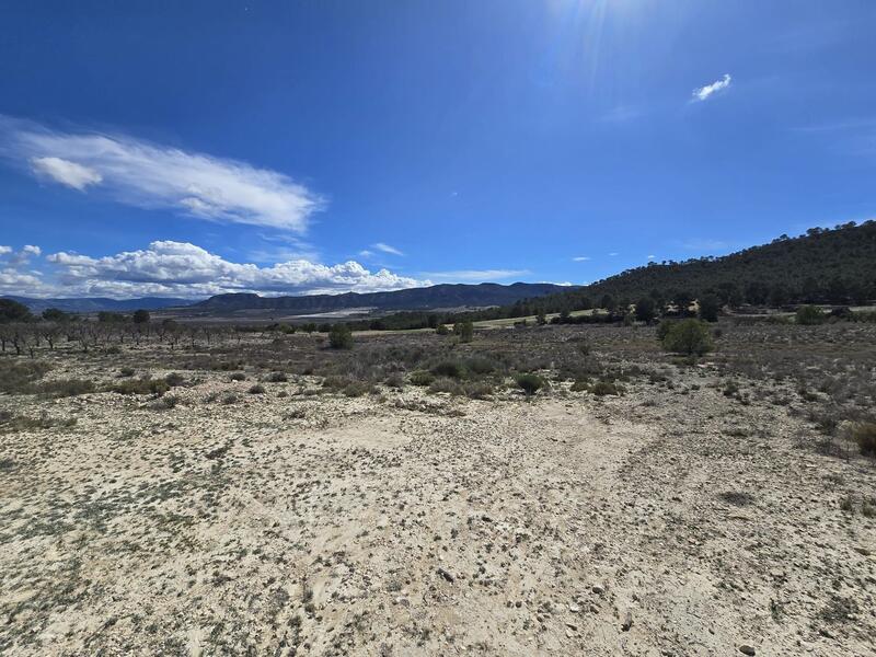земля продается в Salinas, Alicante