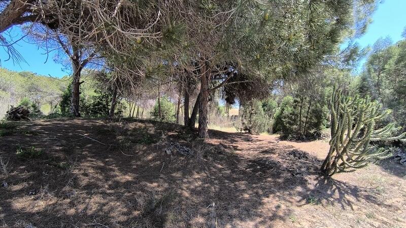 2 Cuarto Villa en venta