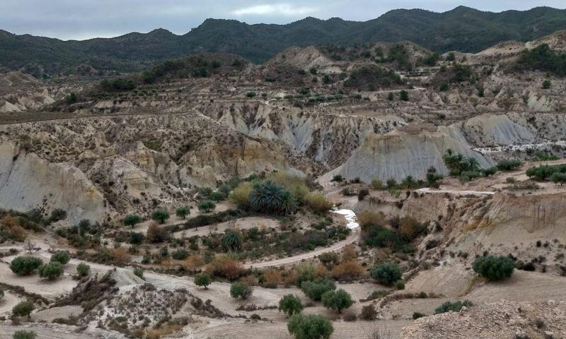 Terrain à vendre dans Abanilla, Murcia