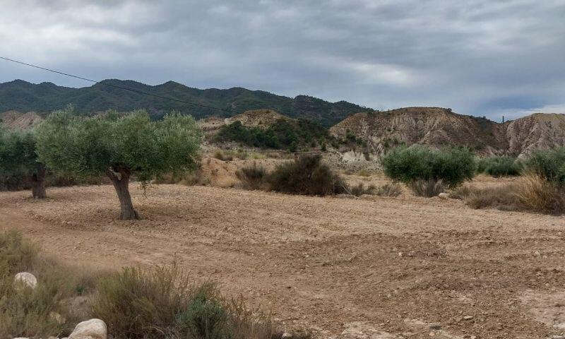 Terrenos en venta