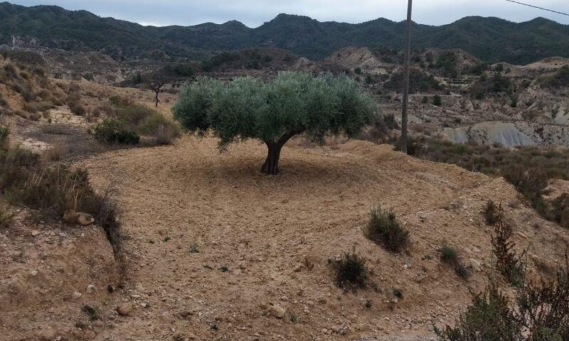 Terrenos en venta