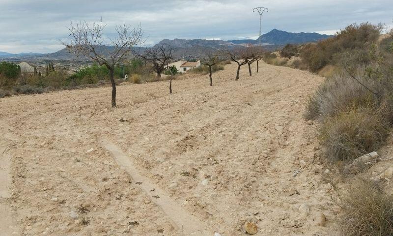 Terrenos en venta