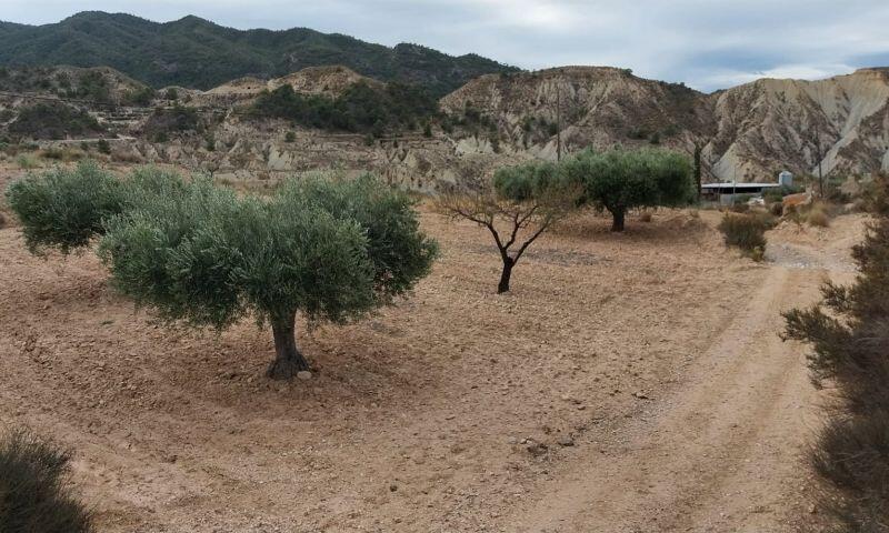 Terrenos en venta