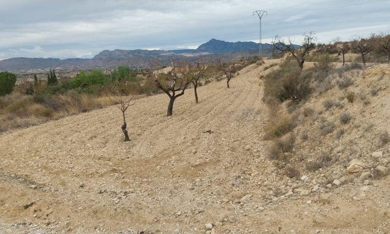 Terrenos en venta