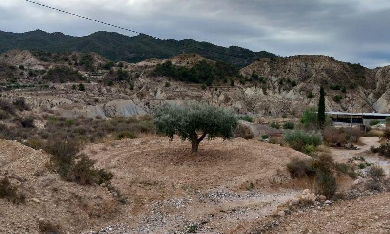 Terrenos en venta