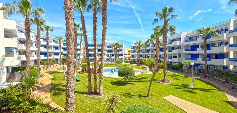 Appartement zu verkaufen in Orihuela Costa, Alicante