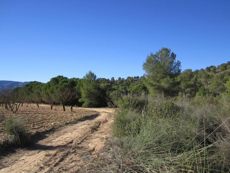 Land for sale