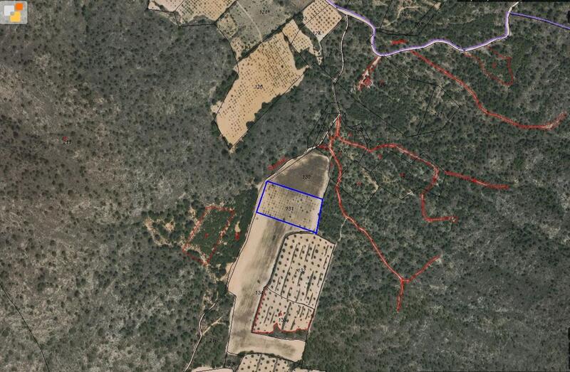 Land for sale