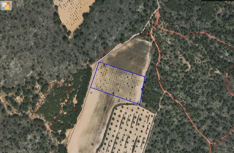 Land for sale