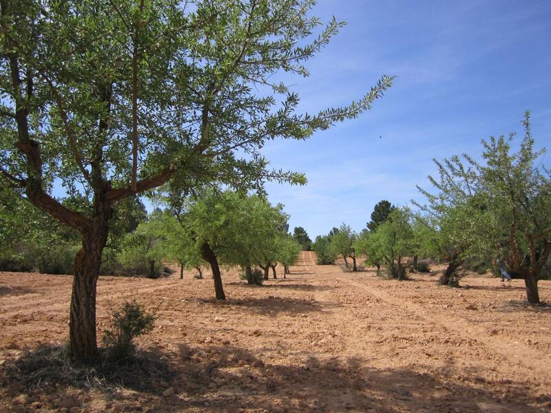 Land Te koop