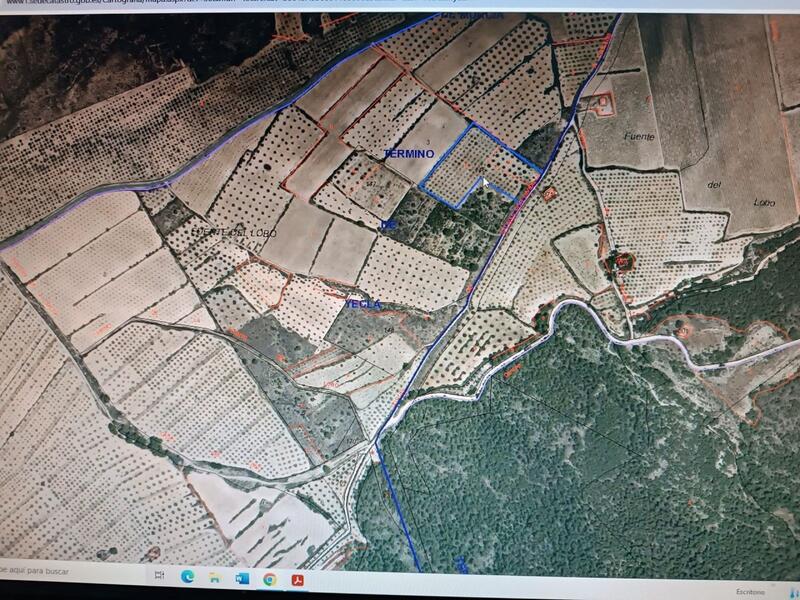 Land for sale