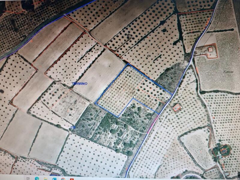 Land for sale